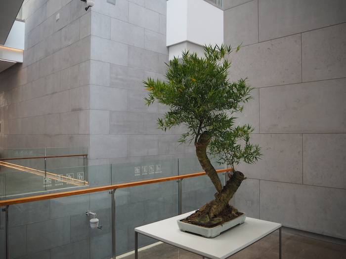 江南|现场｜苏博西馆建成开放，首展大英文物与“纯粹江南”