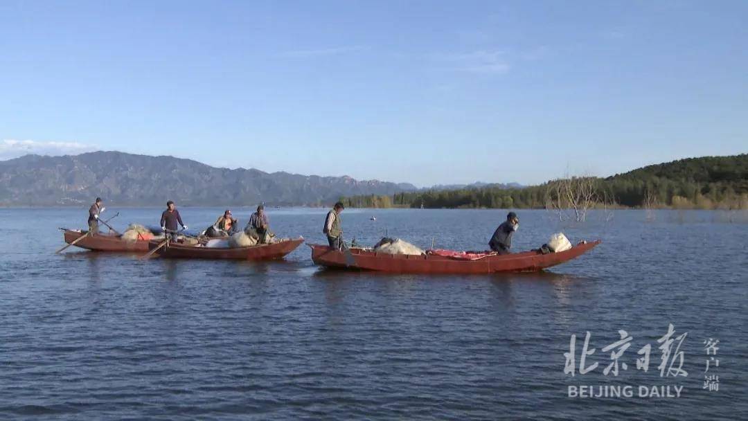 密云水库鱼哪里买到 18c955a0d5d64bac85745670dd295200.jpeg