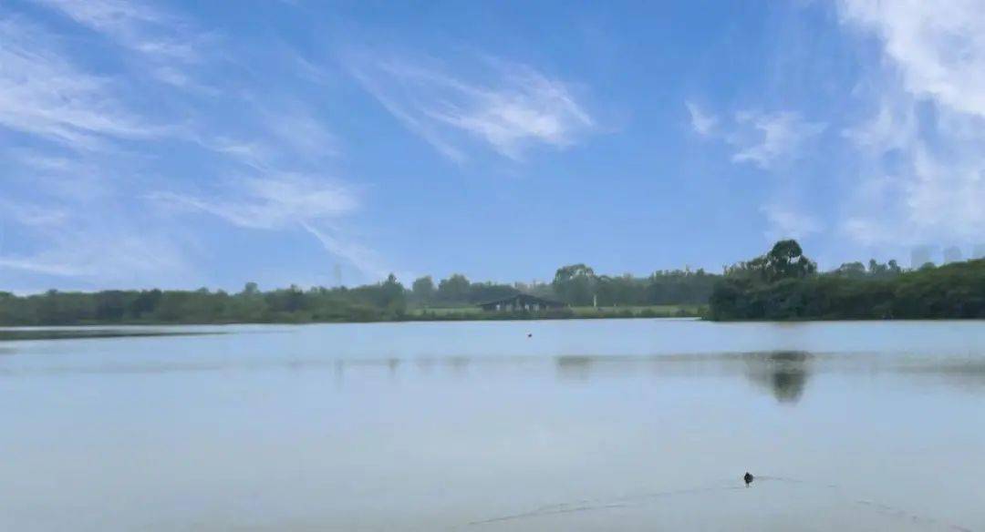 竹构|成都青龙湖“花园”，上新！