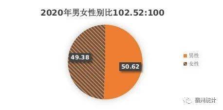 宿州市市区人口_从“七人普”看宿州十年人口发展变化