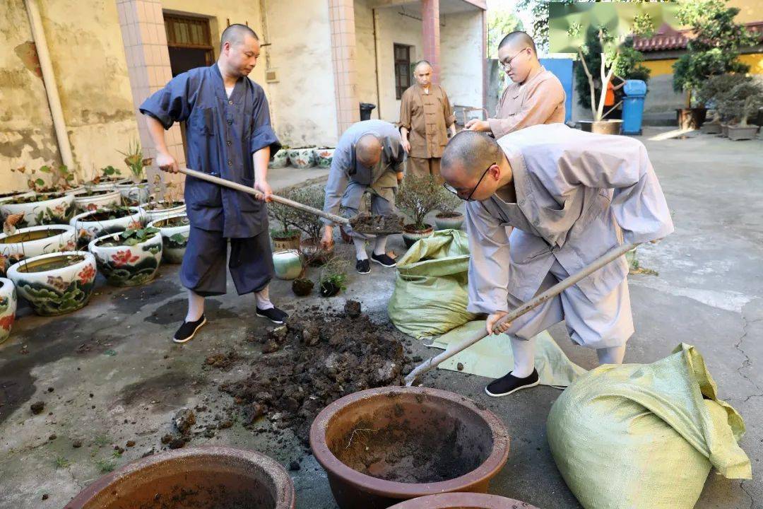 【龙庄纪事】出坡劳作 庄严寺院