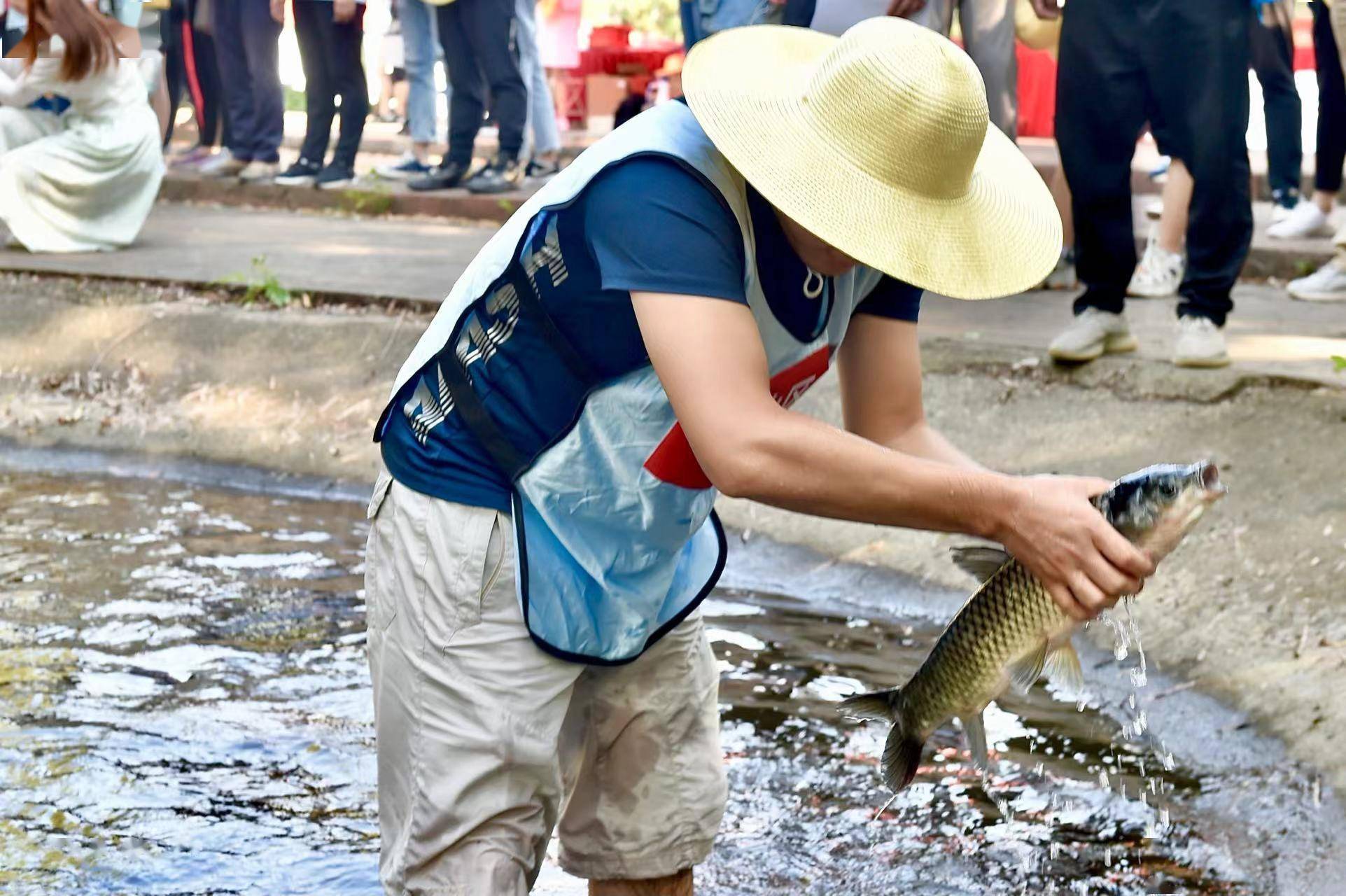 图说│"浑水摸鱼""抢种抢收",秋分时节在田间地头感受农趣魅力