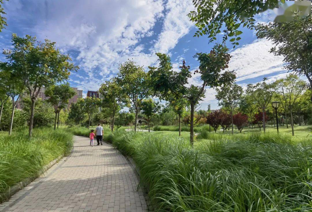 460余万平方米城市绿地装满欢声笑语,助推房山"创森"冲刺_公园