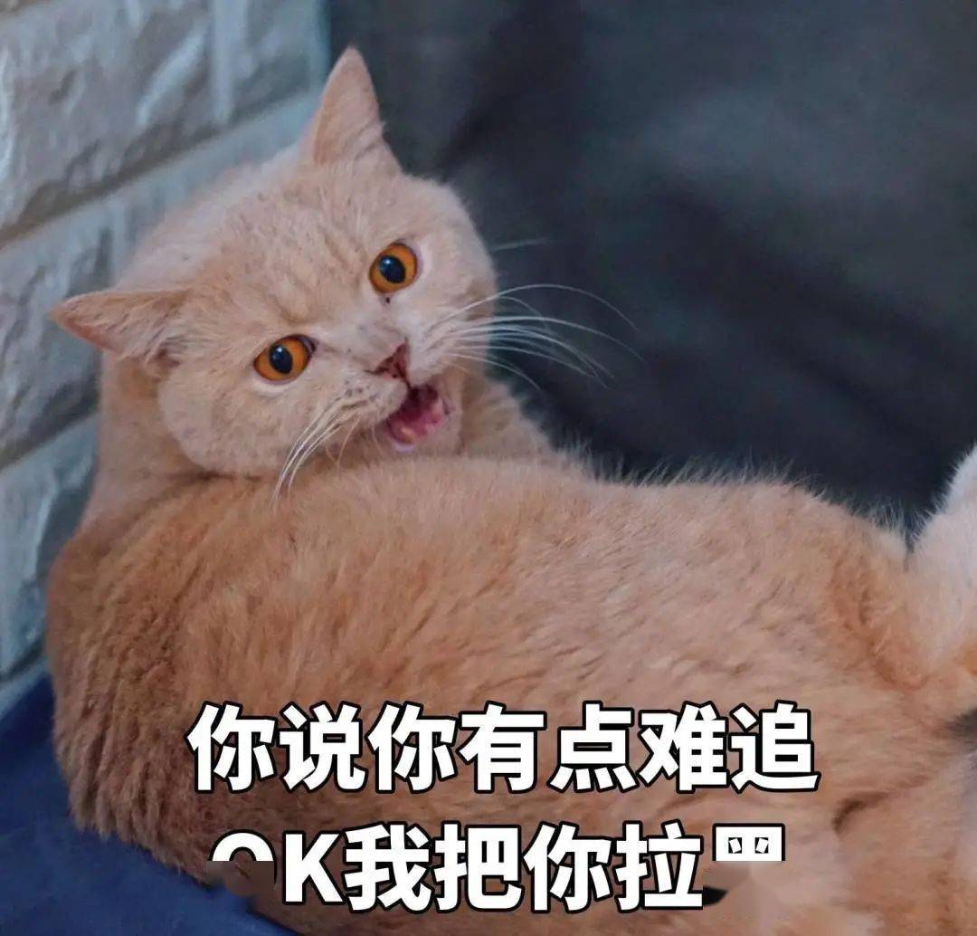c987fbec949f44b4b83ff29aebf4deae.jpeg