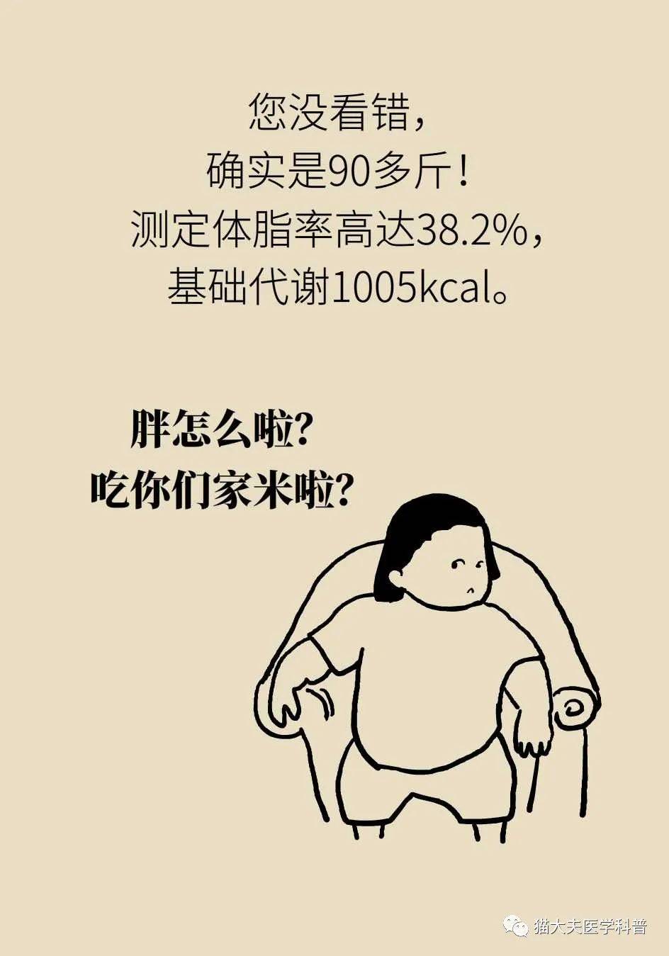 代谢|长胖是因为代谢变慢了？代谢表示不背这个锅