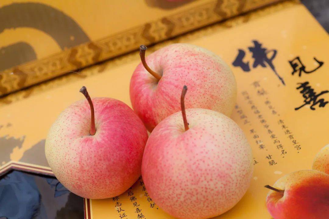 庆丰收 感党恩 | "北京优农"品牌之茅山后佛见喜梨