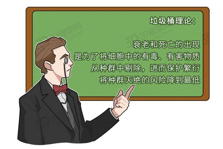 Madden|不想年轻时暴毙，就看看这篇长寿密码