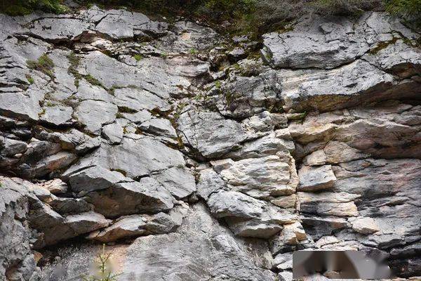 稀奇绍兴第一高峰西白山下发现一块怪石指南针一靠近它就会失灵