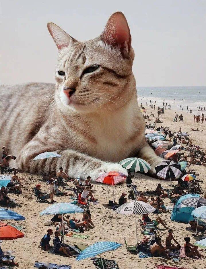 美国小哥养了一只巨猫私生活照曝光后引百万网友围观