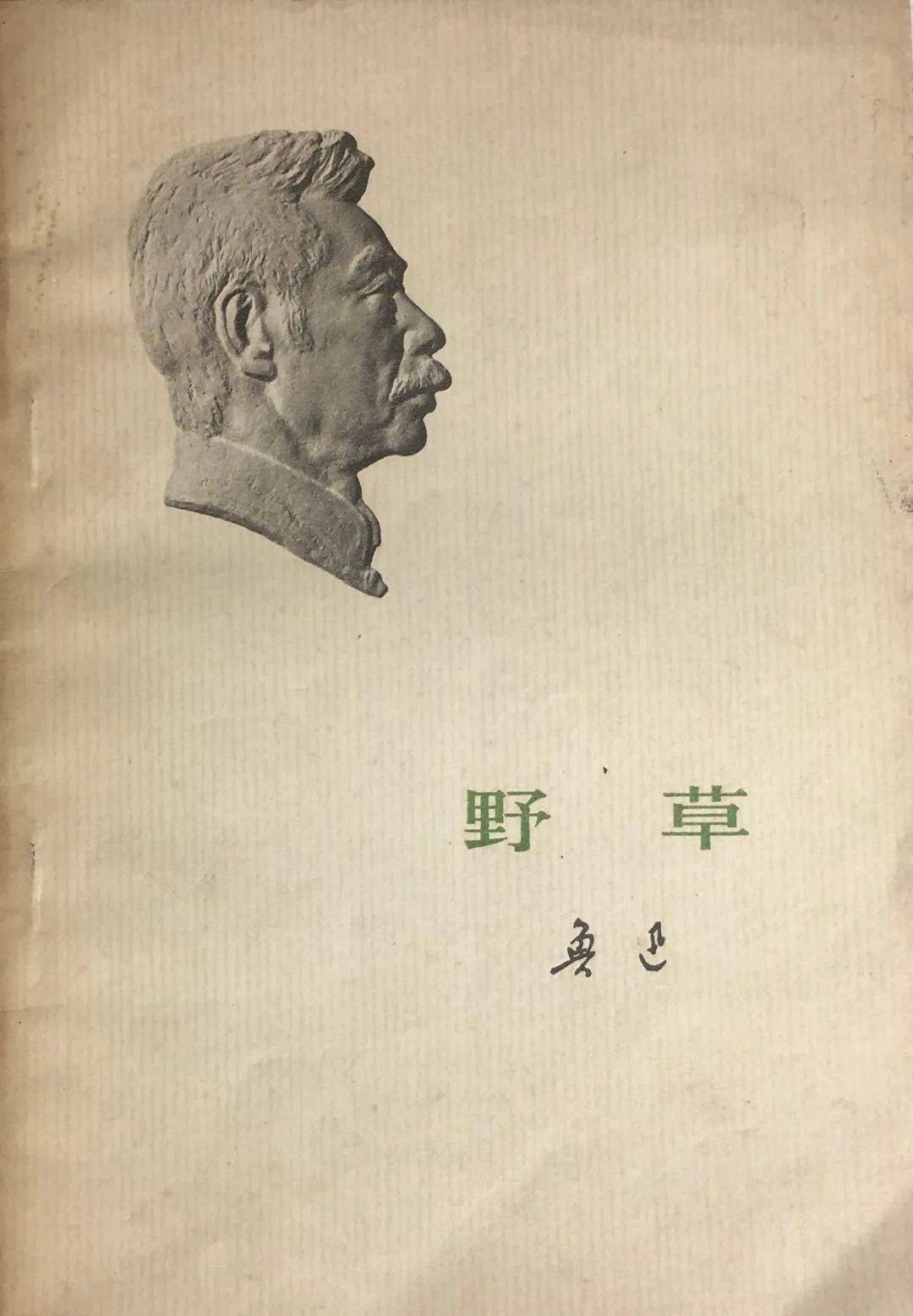 其实我还有一点野心丨纪念鲁迅诞辰140周年专题展览