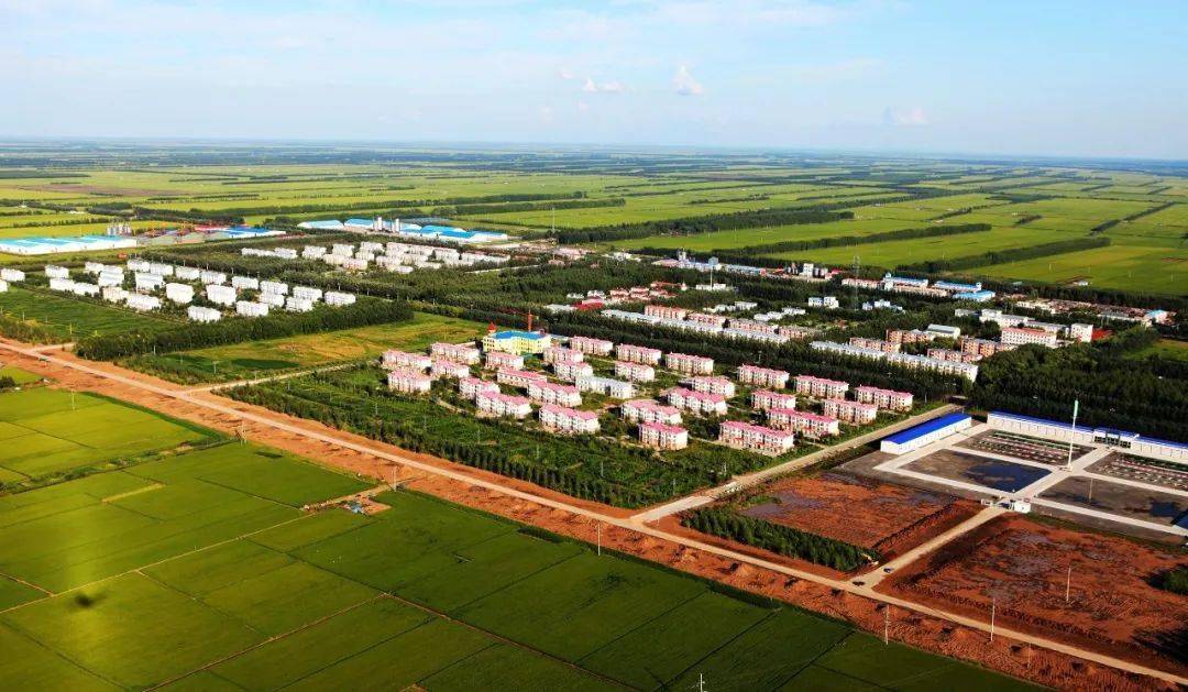 健康我和你吃浓江大米依兰农场有限公司党委书记,董事长,场长 徐锡春