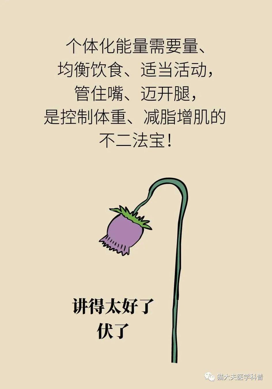 代谢|长胖是因为代谢变慢了？代谢表示不背这个锅