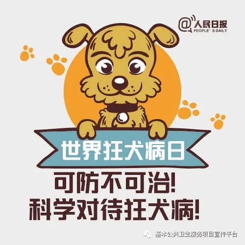 卫生健康宣传日世界狂犬病日知真相不恐惧