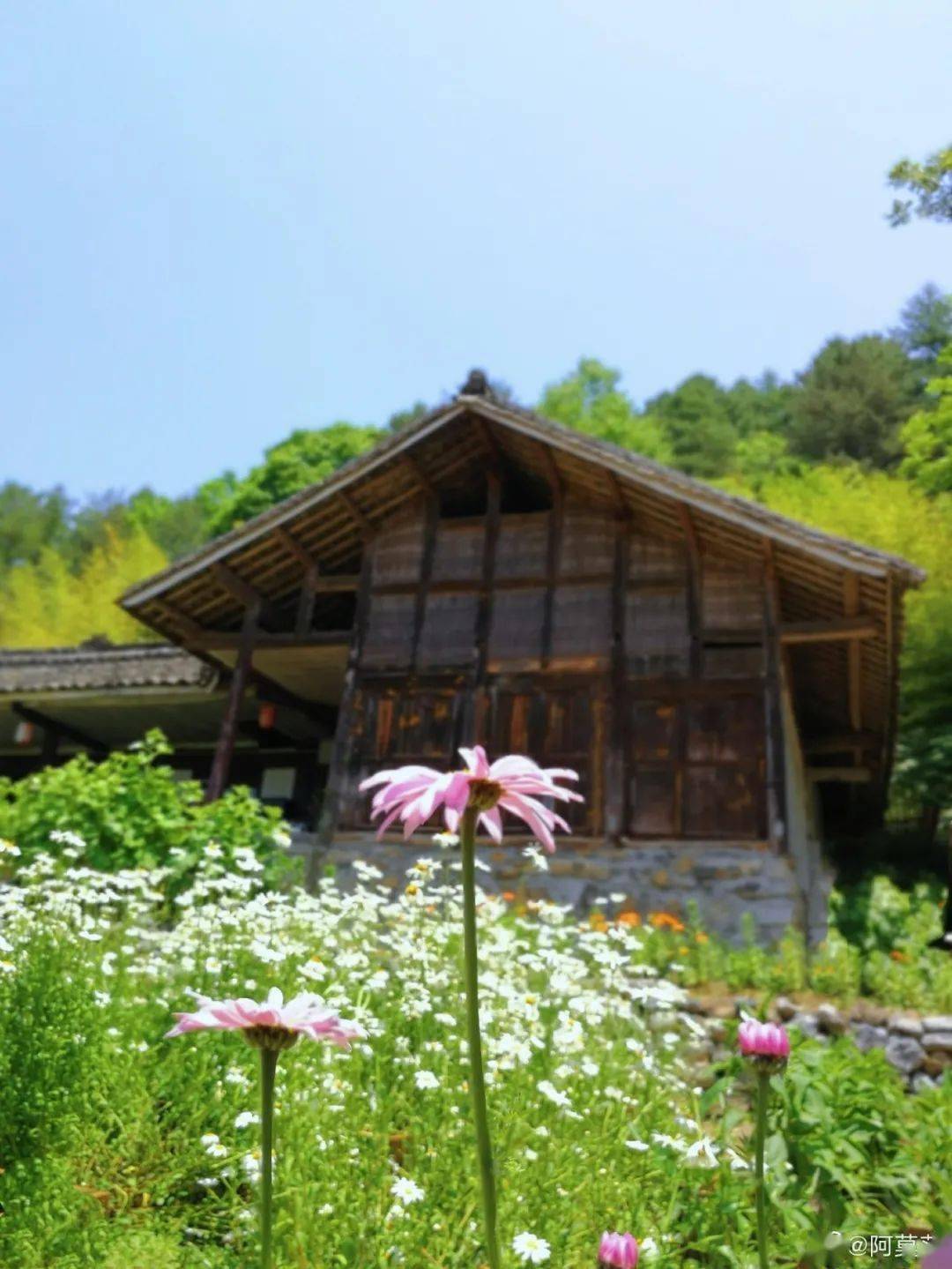 神秘女子隐居深山爆改老屋花4年打造现实中的童话火爆全网却被骂作秀