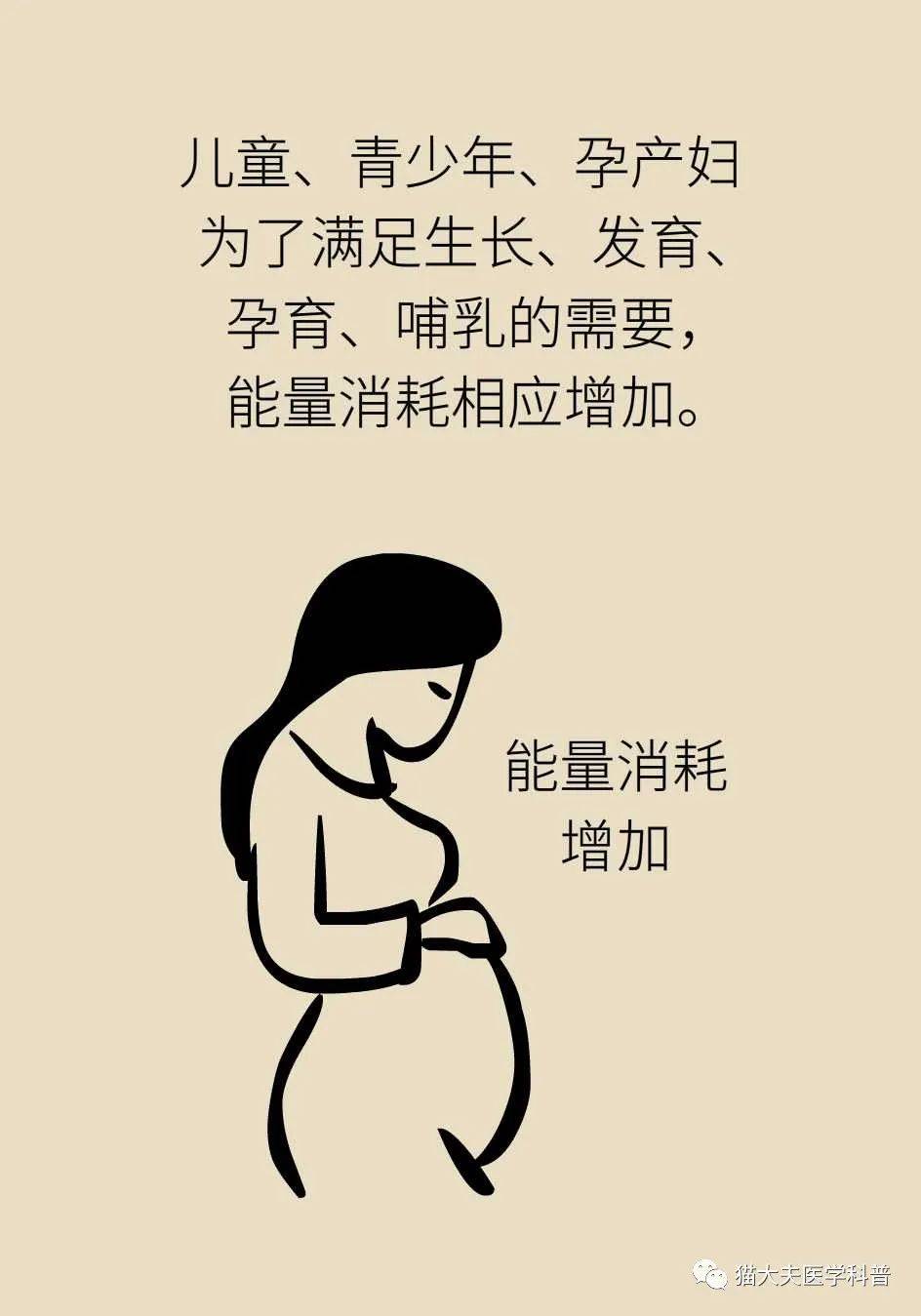 代谢|长胖是因为代谢变慢了？代谢表示不背这个锅