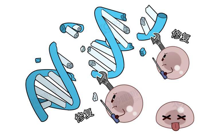 Madden|不想年轻时暴毙，就看看这篇长寿密码