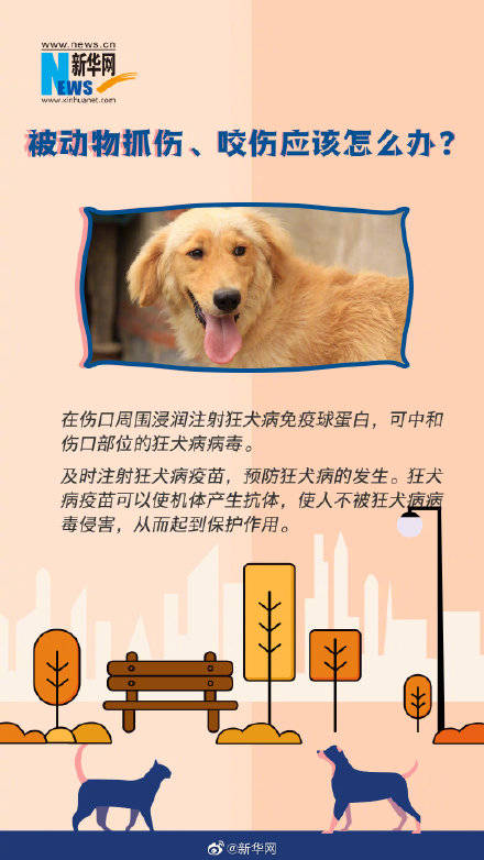 死亡|这些狂犬病常识你一定要了解