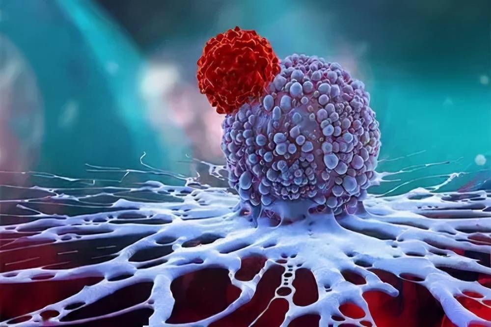 癌细胞能无限增殖的秘密被揭开!治疗新革命已开启_肿瘤