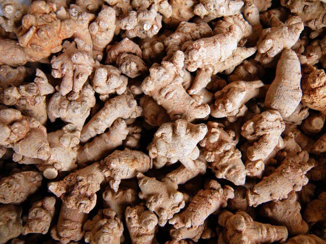 现在能种什么药材最好 50e96c4956eb4ca1954ab07db1760ec5.jpeg