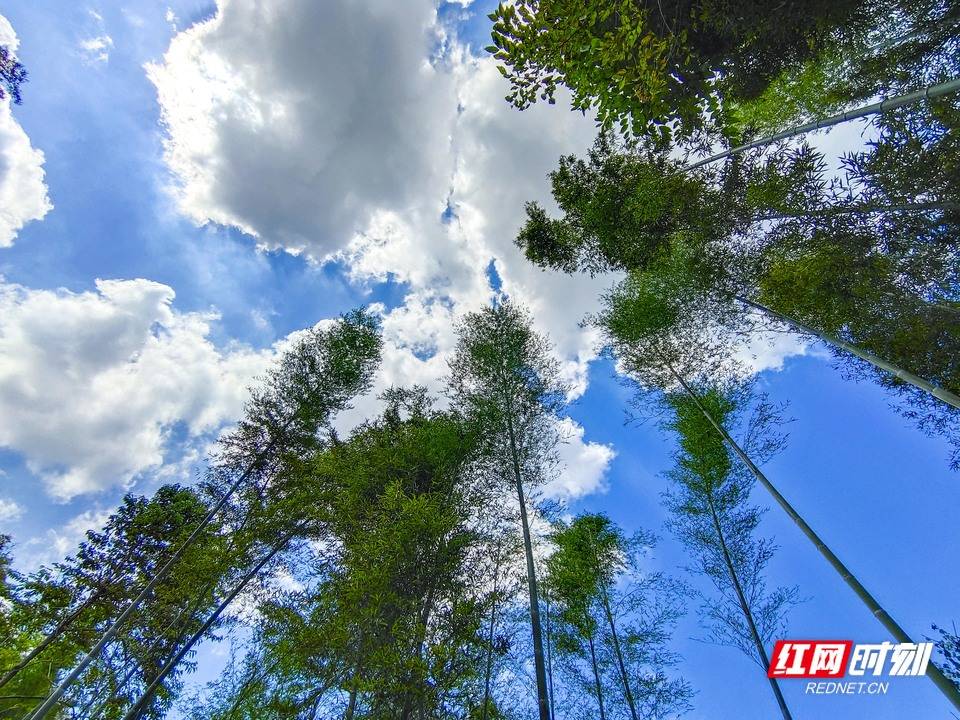 附近的|飞“阅”南岳⑨|探黄沙潭胜景 寻续梦庵遗辉