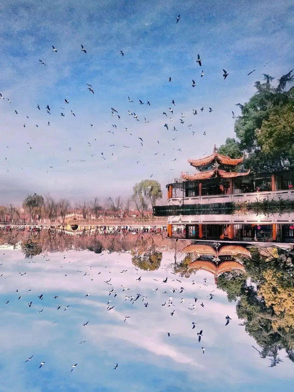 春城秀昆明经典旅游攻略一篇带你玩转春城美景