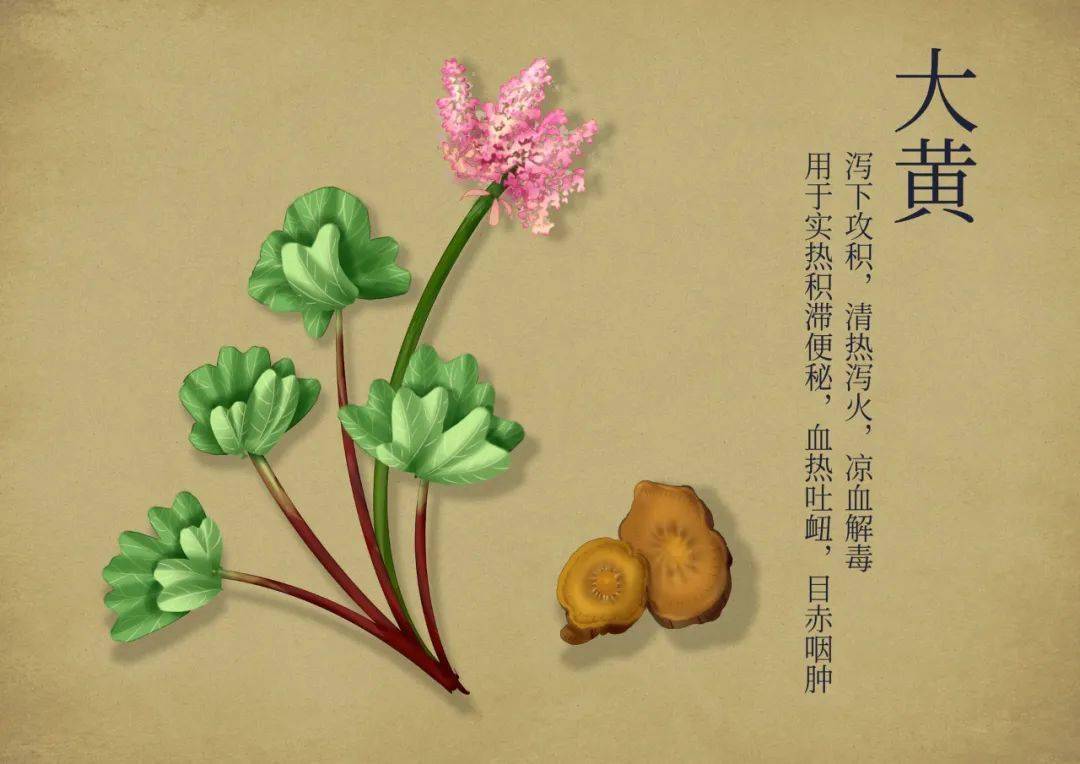 孩子发生便秘时 不妨试试这5种中医外治疗法 用法