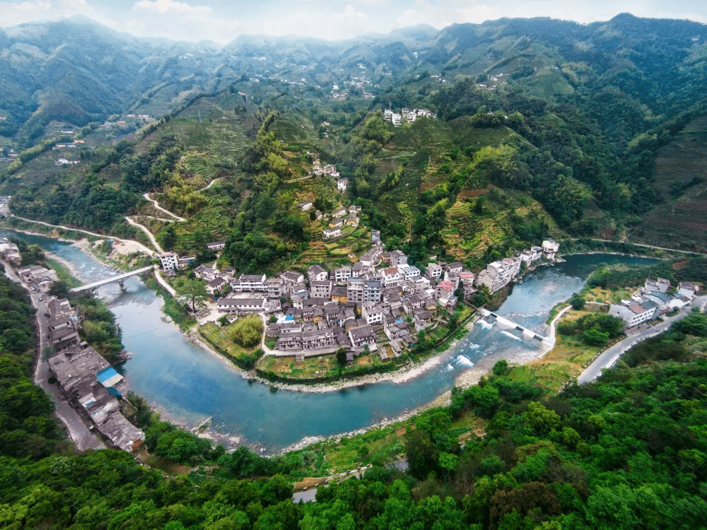 歙县长陔三宝简介图片