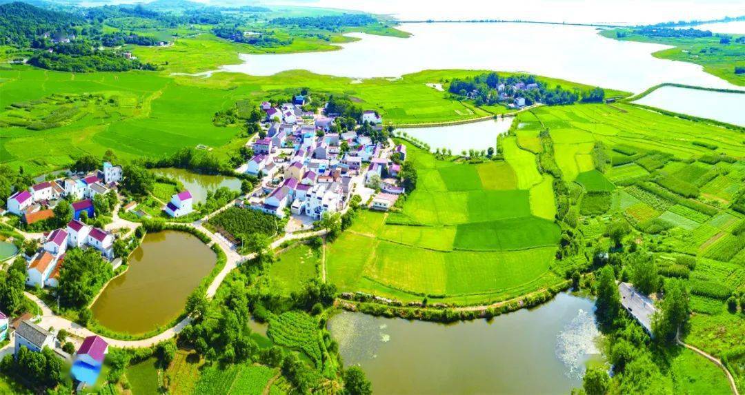 枞阳县雨坛镇雨坛中心村本版文字由铜陵市农业农村局(美丽办)提供