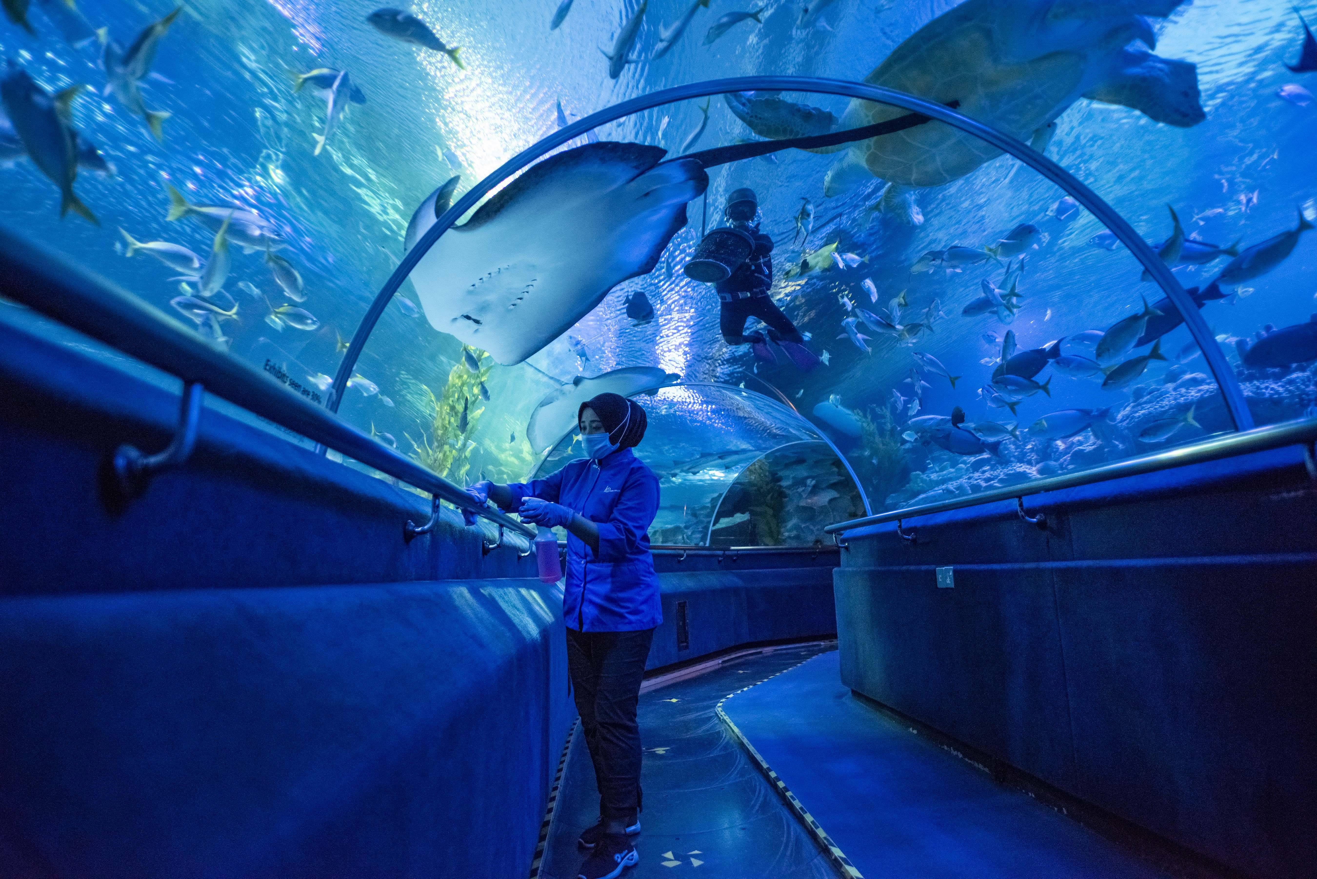 馬來西亞吉隆坡城中城水族館將重新開放