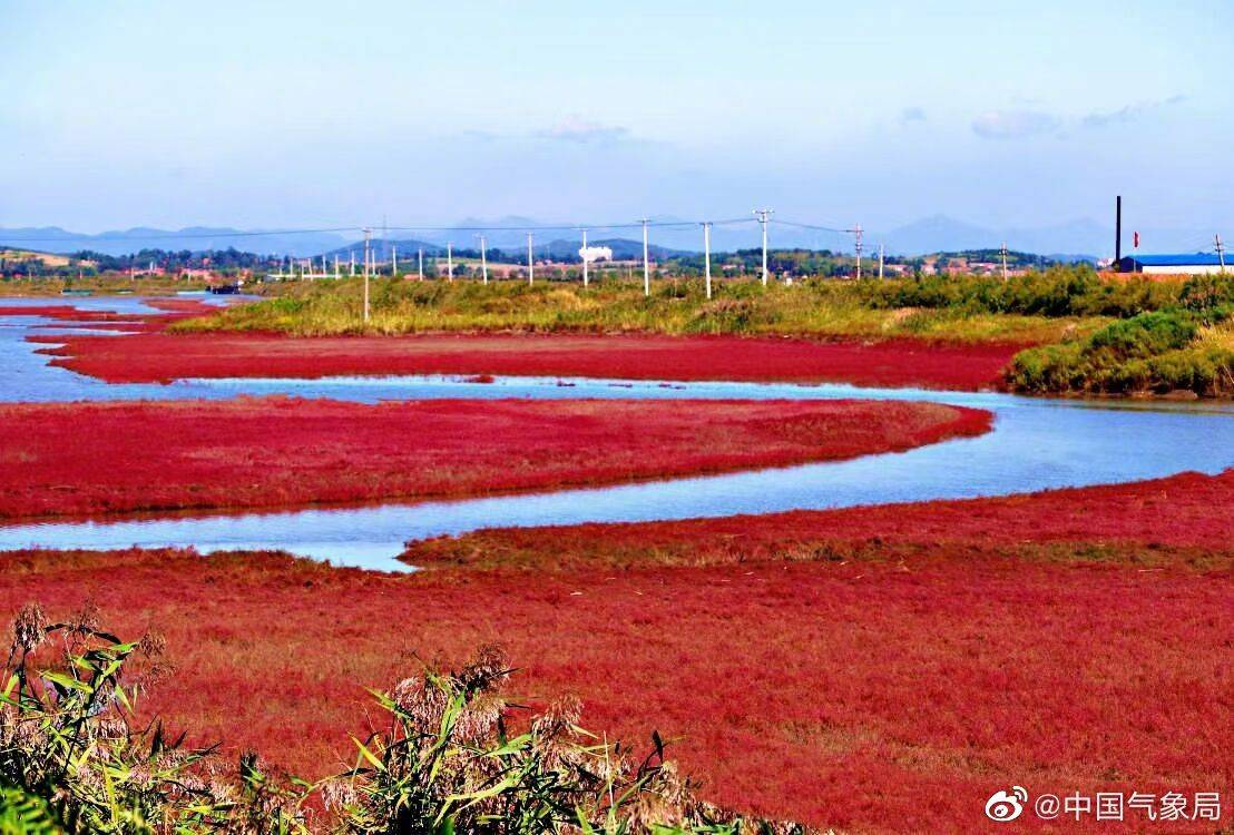 最美秋天在哪里辽宁庄河红海滩美不美