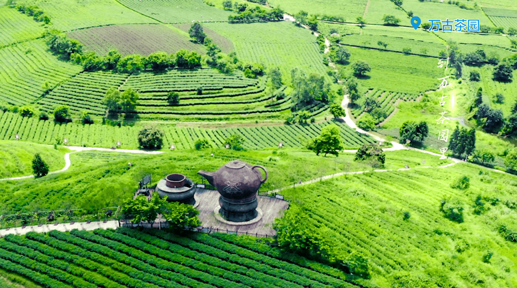 望山见水忆乡愁,《上林记忆》mv正式发布!