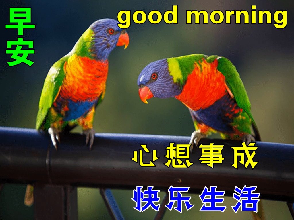 早上好动态表情图片大全,早晨好动图美图大全_生活