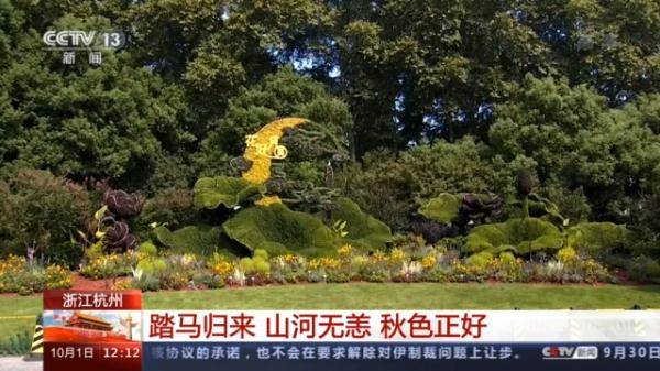 效果|向日葵、什锦菊……各地景观扮靓国庆节 大街小巷氛围浓