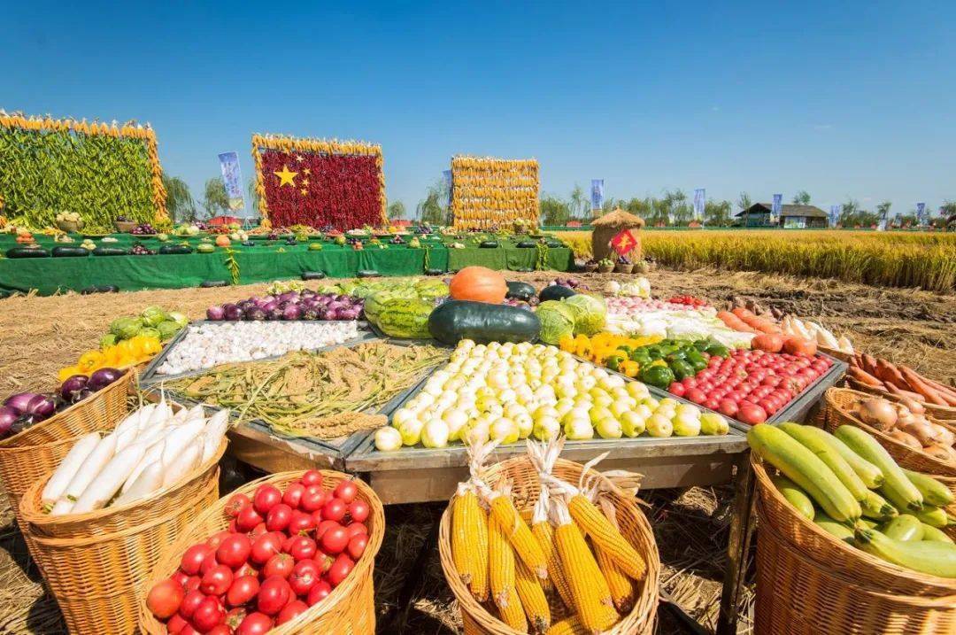 国庆节有味道丰收宁夏沉甸甸的果实向祖国献礼