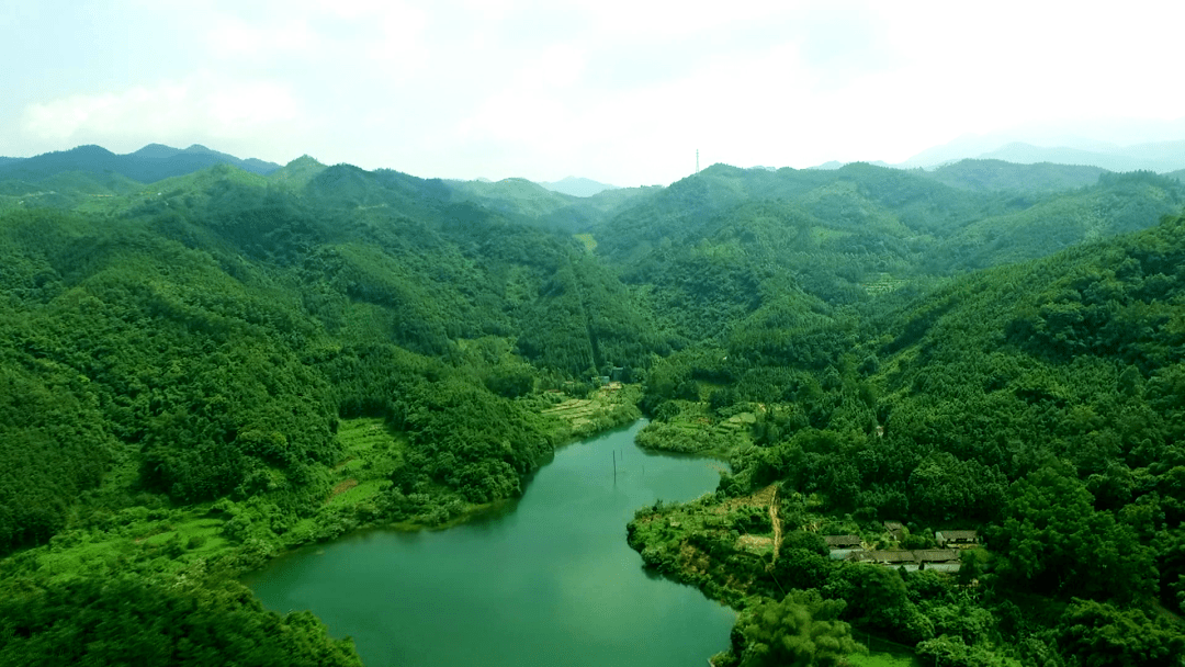 恩平茶山坑水库图片