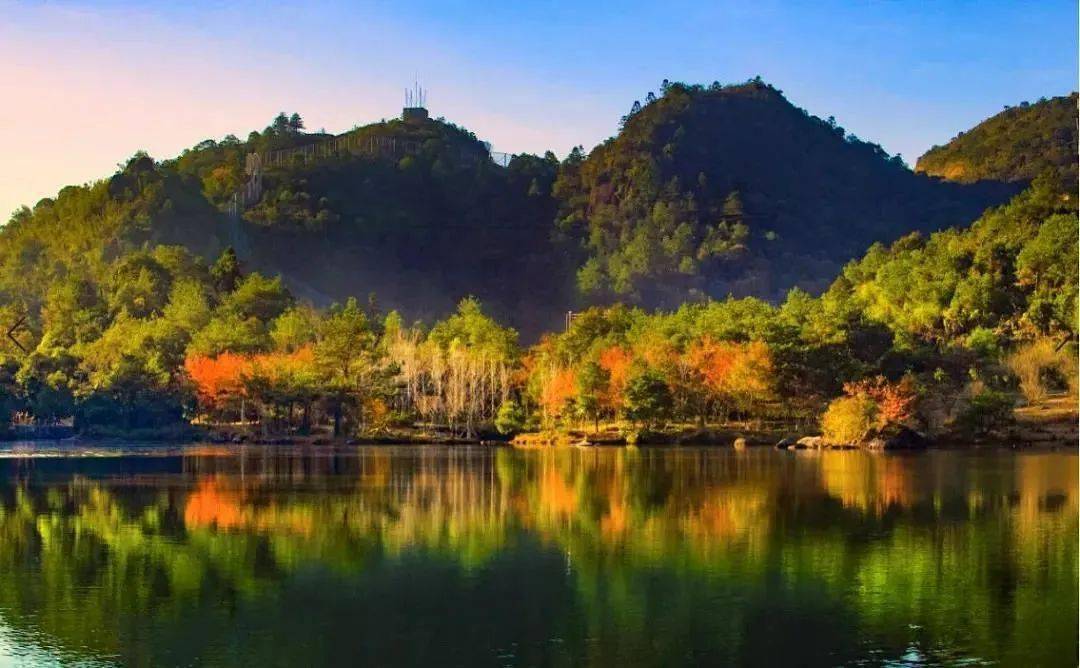 古田梅花山景区 图源:福建省文旅厅微信