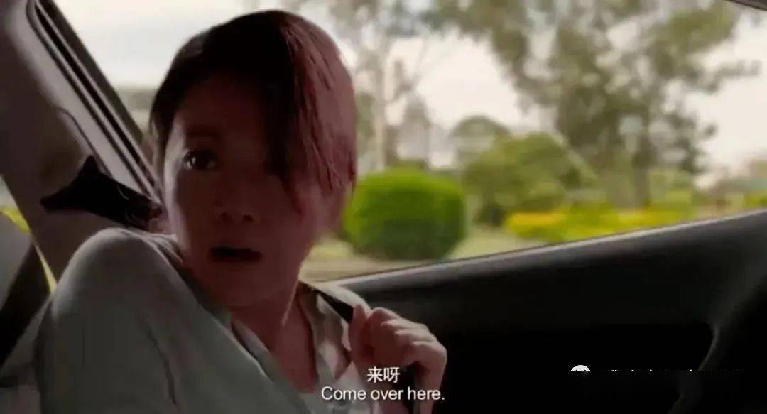 夫妻俩|这对cp又让谁的dna动了？