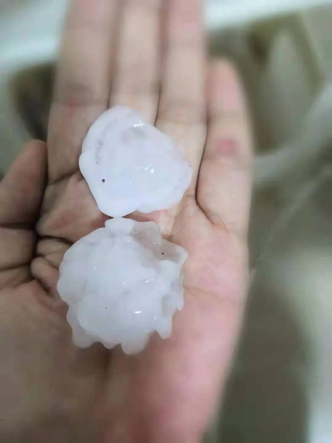 威海突降冰雹,大如鸡蛋,车玻璃被砸裂,果农损失严重