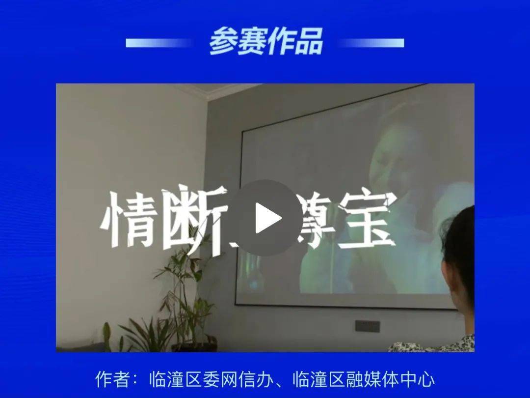 精选推荐，网络自制短剧的魅力与选择，网络自制短剧的魅力与选择，精选推荐