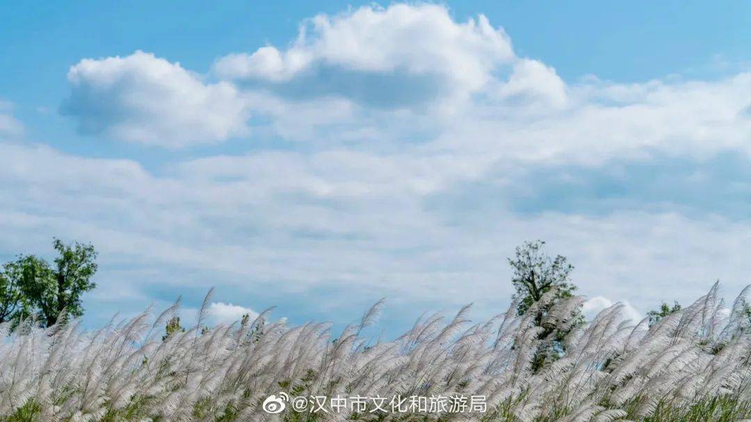 回到大宋王朝唯美的诗意场景穿梭在天汉湿地公园芦苇荡穿越千年的历史