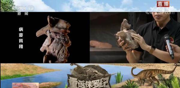 颈椎|一眼穿越亿万年 重返侏罗纪 | 恐龙的“烦恼”你了解多少？恐龙也会得颈椎病