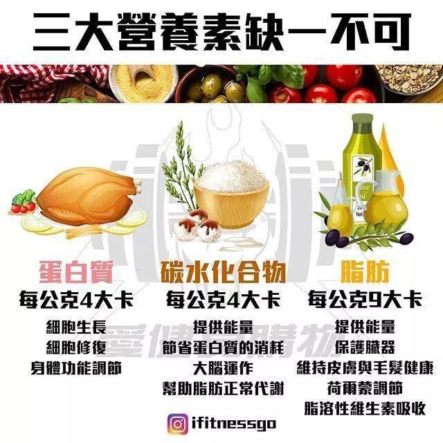 38張最強減脂干貨圖刷爆朋友圈，分分鍾減脂20斤不復胖！ 健身減肥達人 第20张
