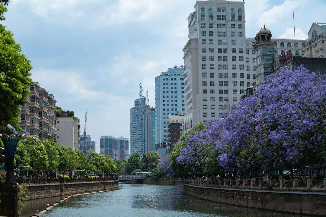 是历史也是生活,漫步盘龙江畔,寻找记忆里的"水城昆明"