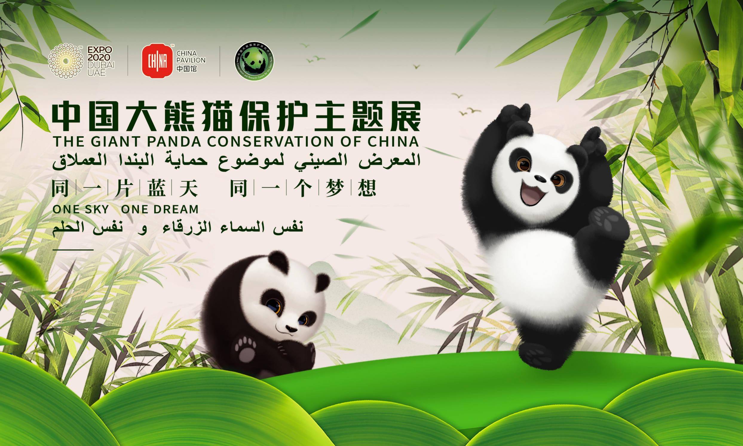 vr现场体验喂熊中国大熊猫保护主题展正式亮相阿联酋2020年迪拜世界