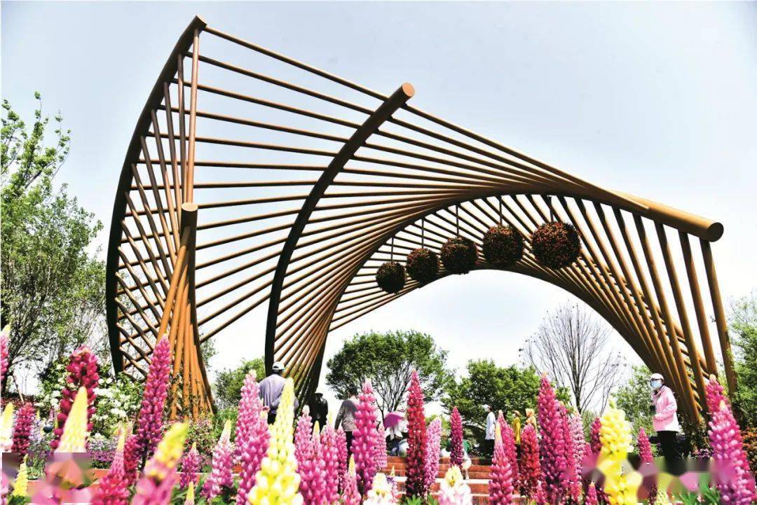 上海园：打造“绿野仙踪”的探秘之旅 |“扬州世园会”专题