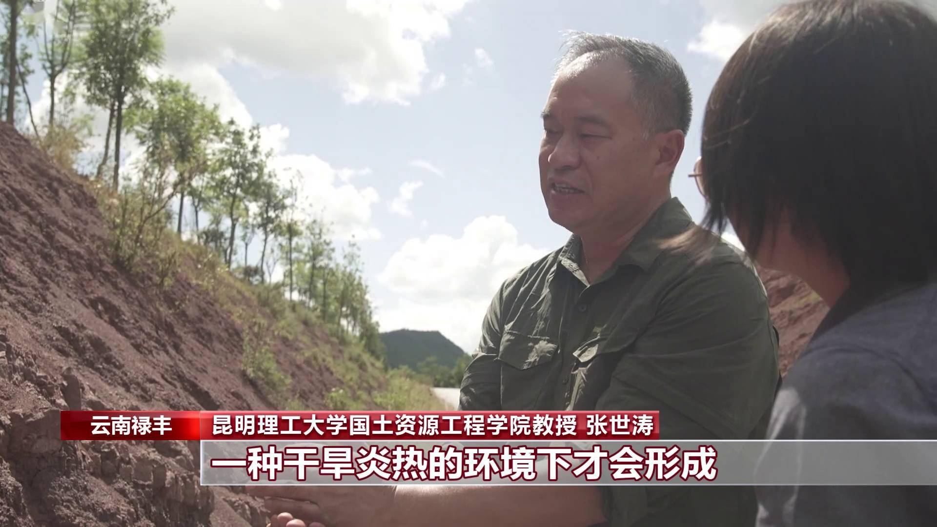 化石|云南禄丰恐龙科考“啃硬骨头”：恐龙化石如何修复？