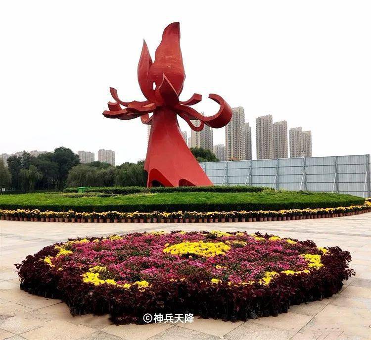 菏泽:菊花节,实拍!_国花