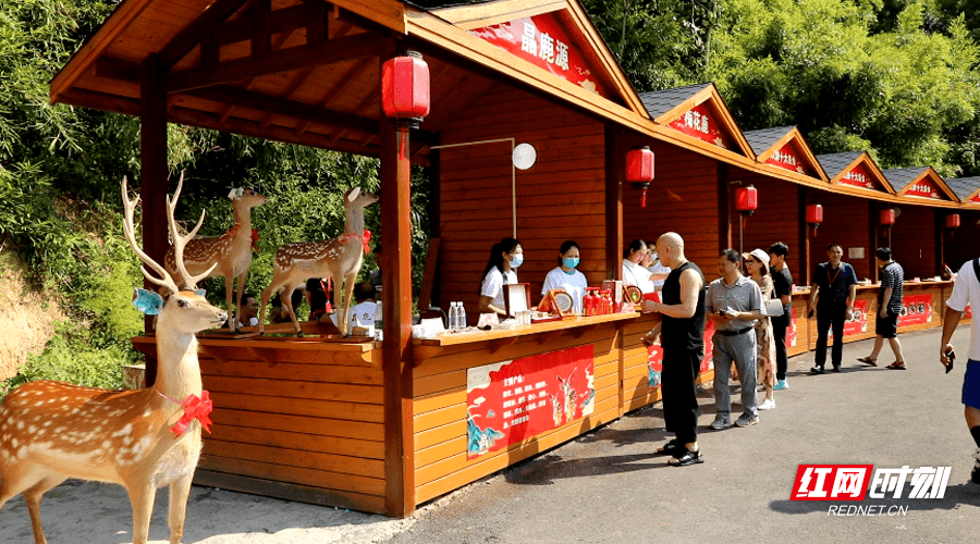 双牌县|双牌阳明山、桐子坳景区秋景、美食、歌舞盛宴 迎接八方游客