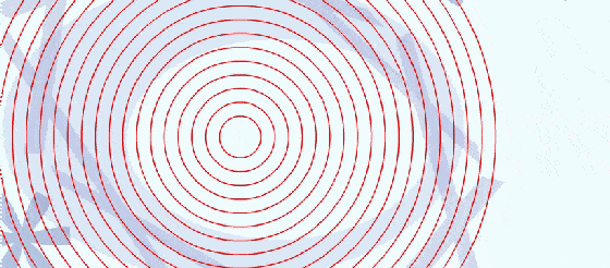 560_246gif 动态图 动图