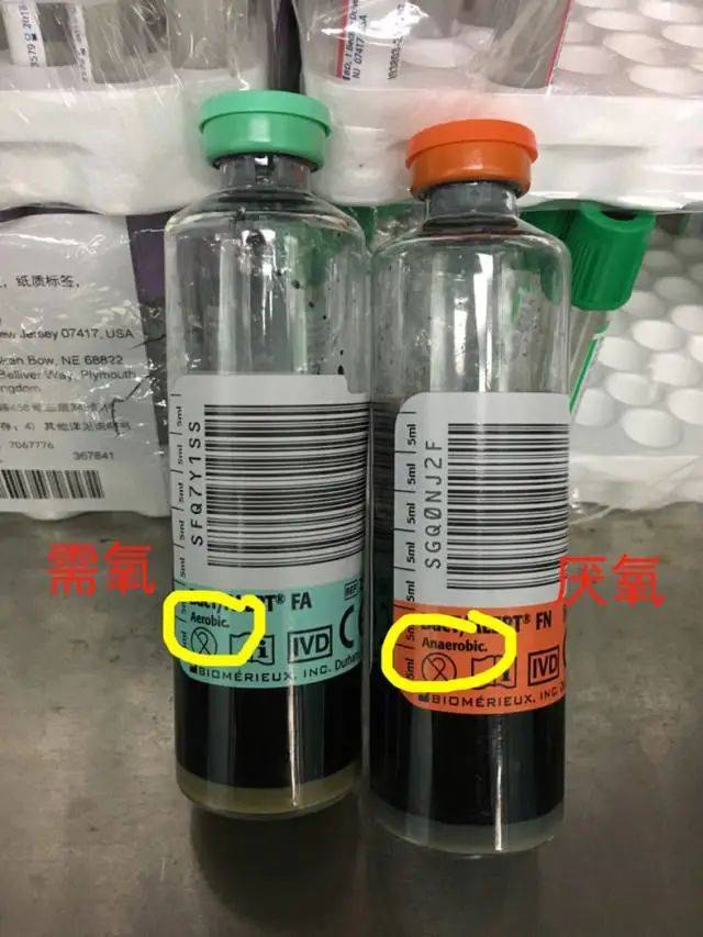 关于血培养,这些你应该了解的知识点_标本